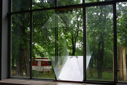 Martin Dasek Window